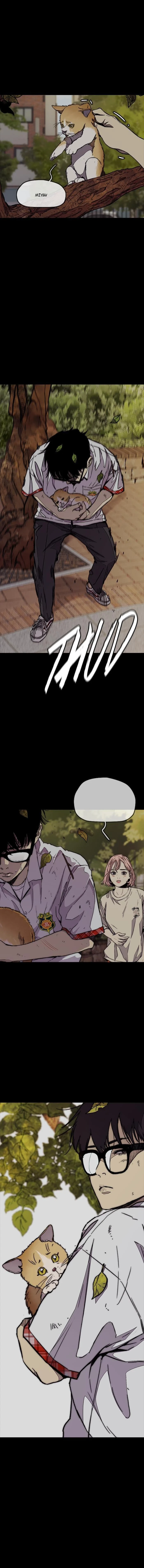 Read Wind Breaker TR Manga Online