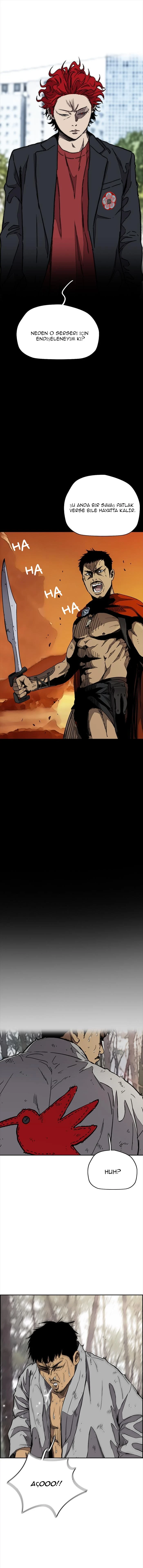 Read Wind Breaker TR Manga Online