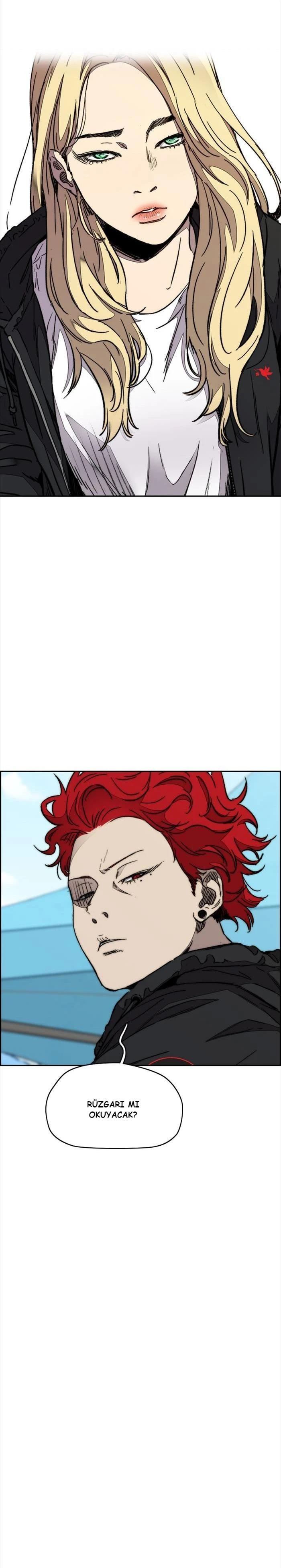 Read Wind Breaker TR Manga Online