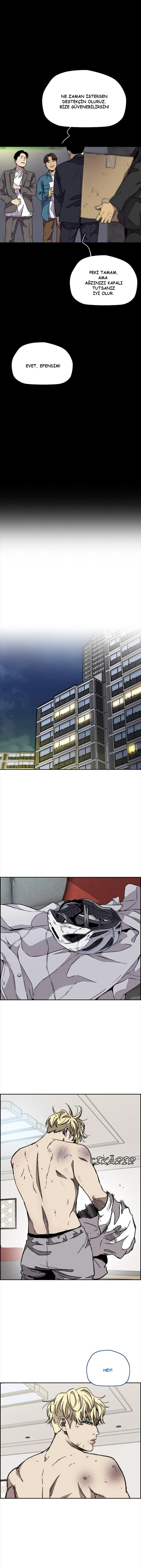 Read Wind Breaker TR Manga Online