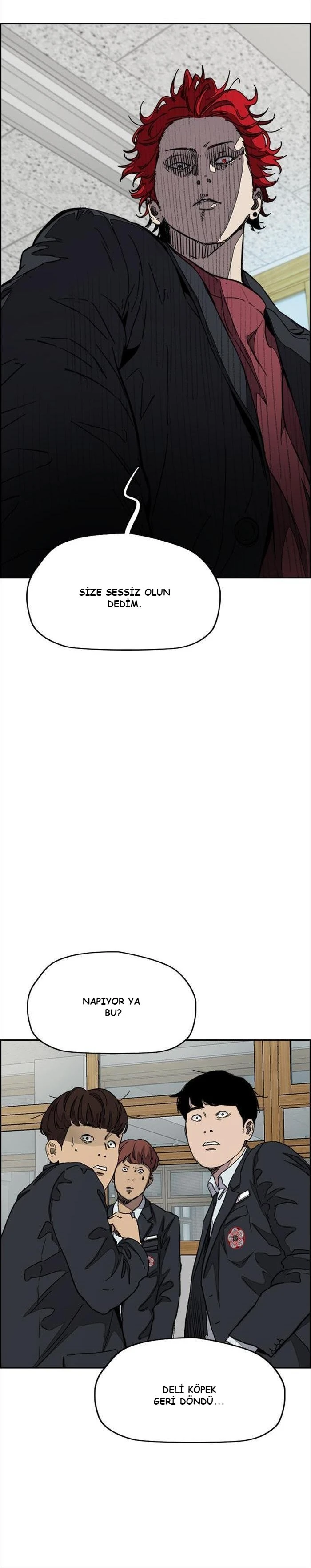 Read Wind Breaker TR Manga Online