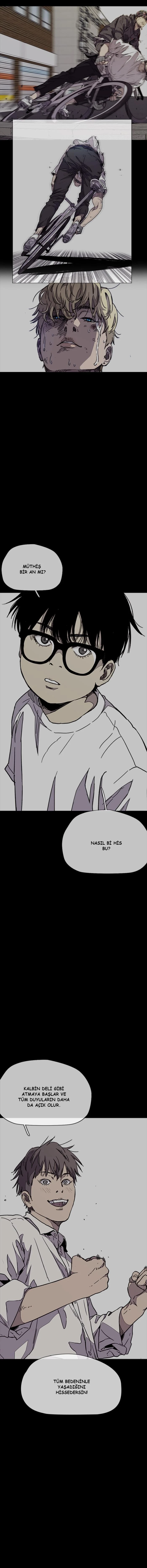 Read Wind Breaker TR Manga Online