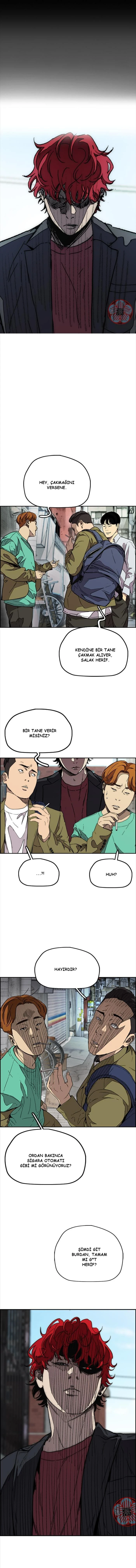 Read Wind Breaker TR Manga Online
