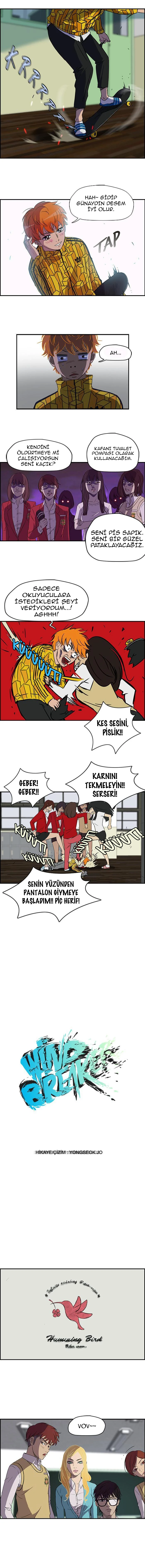 Read Wind Breaker TR Manga Online
