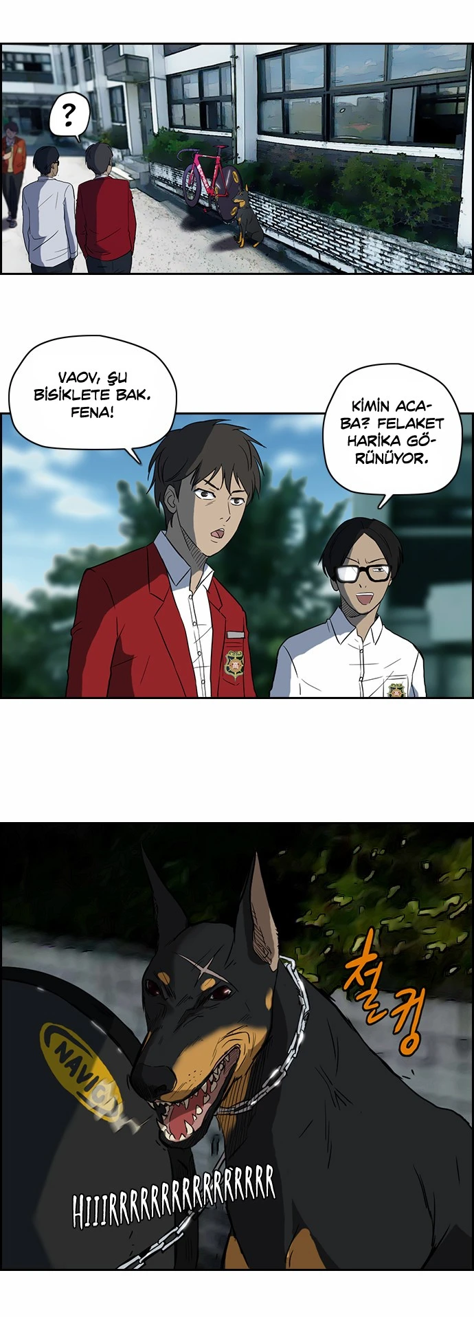Read Wind Breaker TR Manga Online