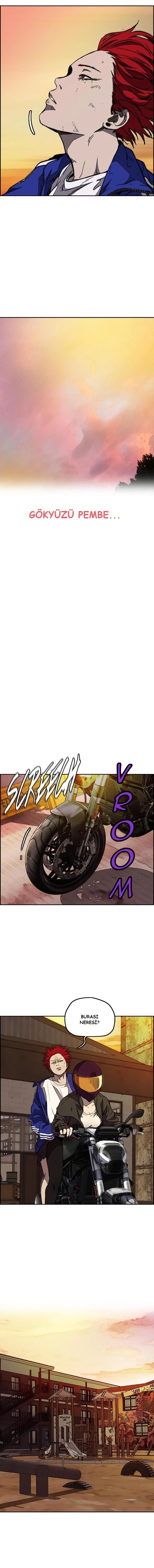 Read Wind Breaker TR Manga Online