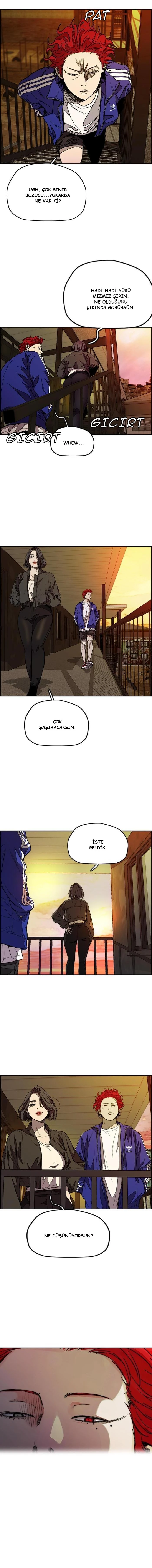 Read Wind Breaker TR Manga Online