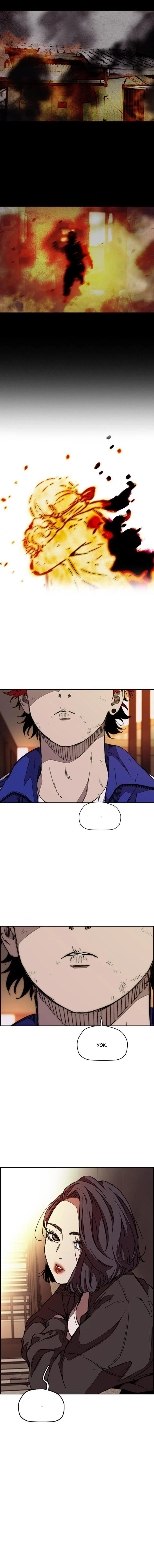 Read Wind Breaker TR Manga Online