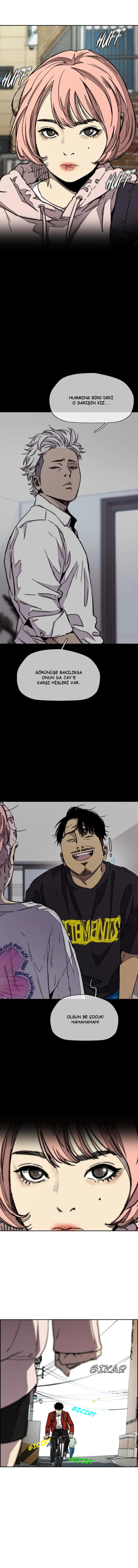 Read Wind Breaker TR Manga Online