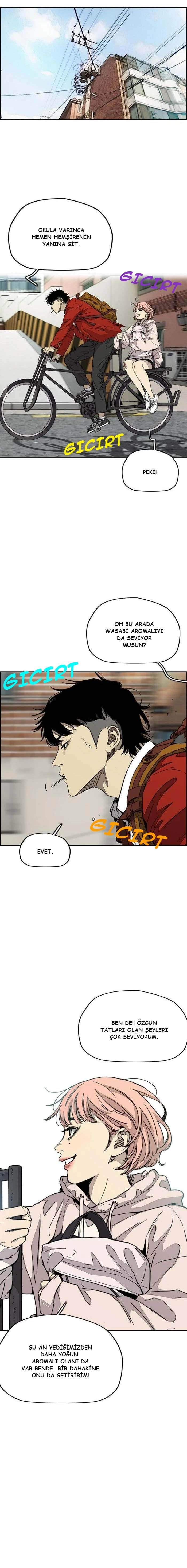 Read Wind Breaker TR Manga Online