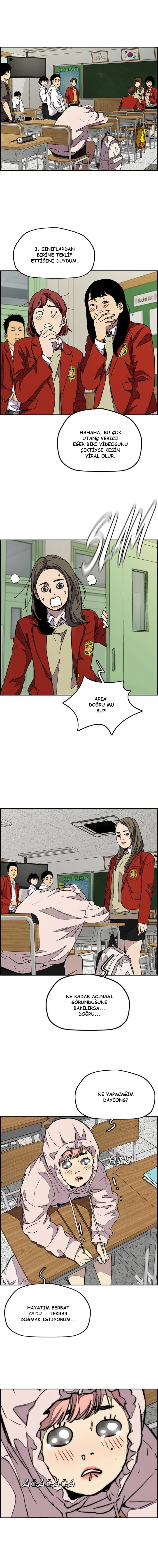 Read Wind Breaker TR Manga Online