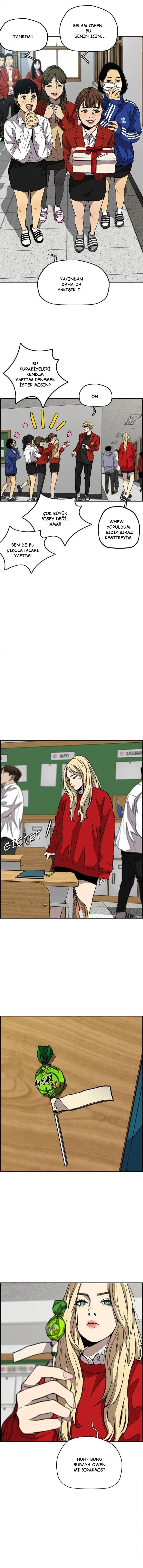 Read Wind Breaker TR Manga Online