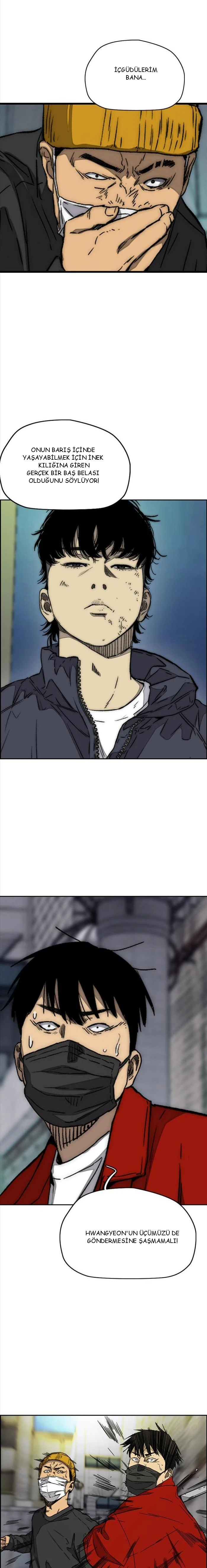 Read Wind Breaker TR Manga Online