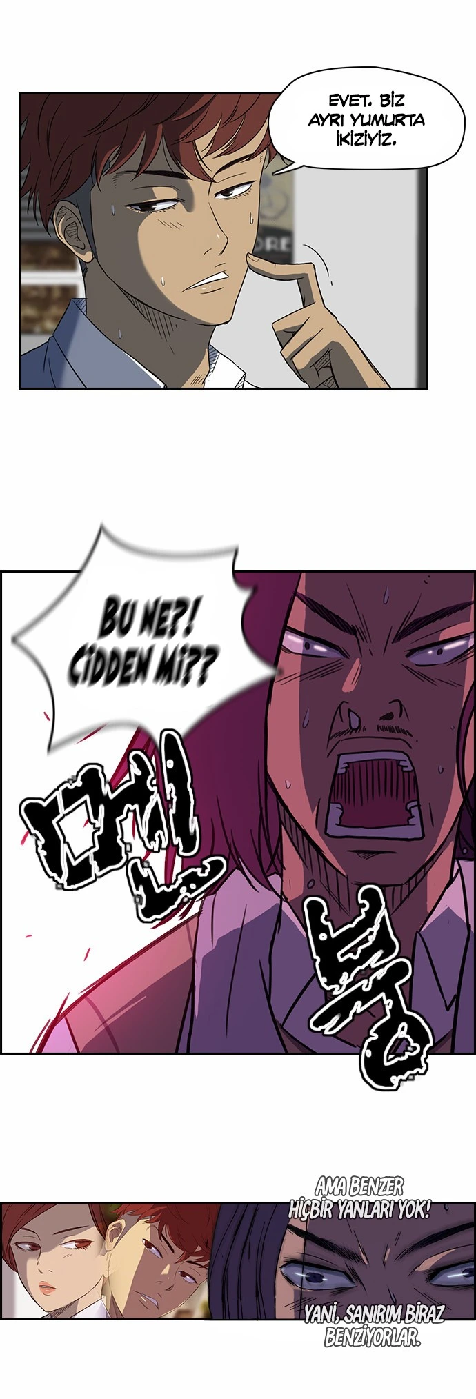 Read Wind Breaker TR Manga Online