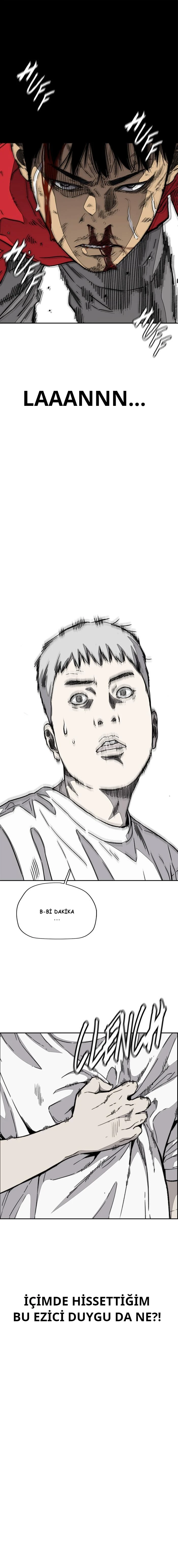 Read Wind Breaker TR Manga Online