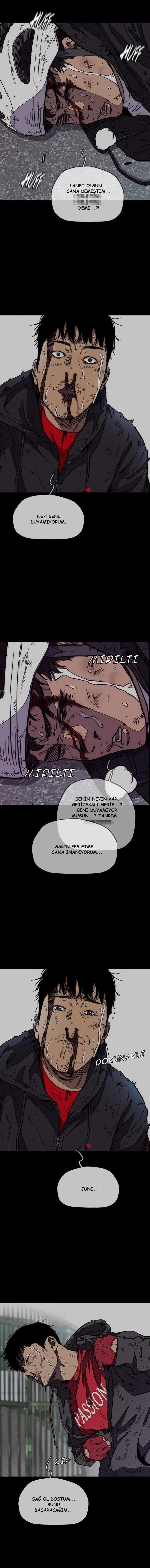 Read Wind Breaker TR Manga Online