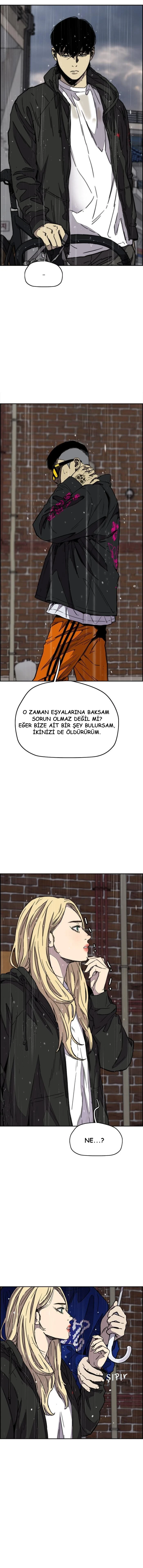 Read Wind Breaker TR Manga Online