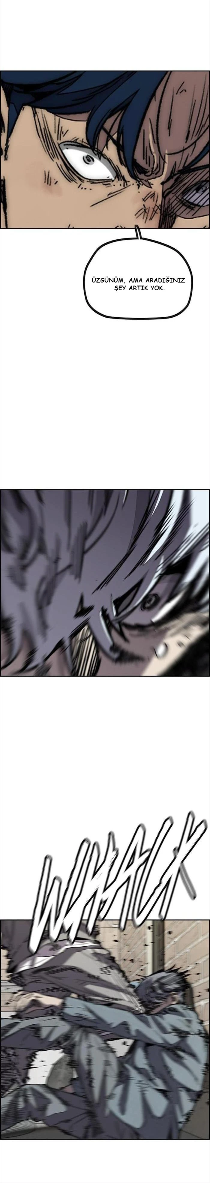 Read Wind Breaker TR Manga Online