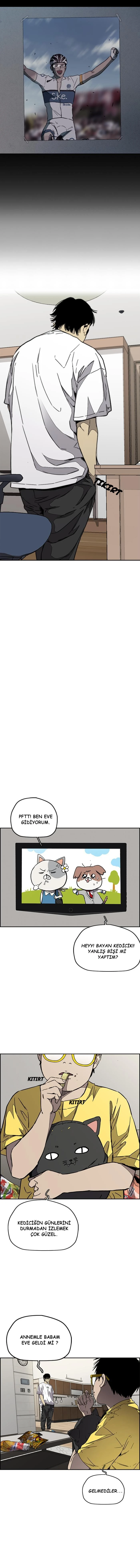 Read Wind Breaker TR Manga Online