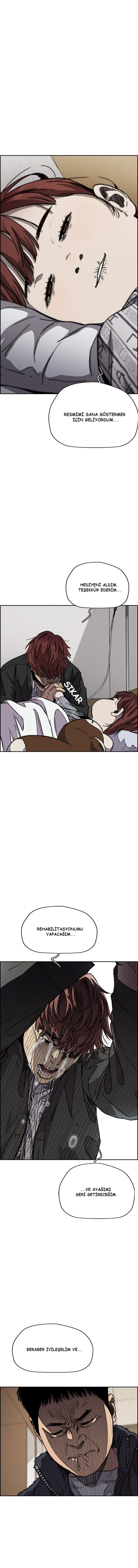 Read Wind Breaker TR Manga Online