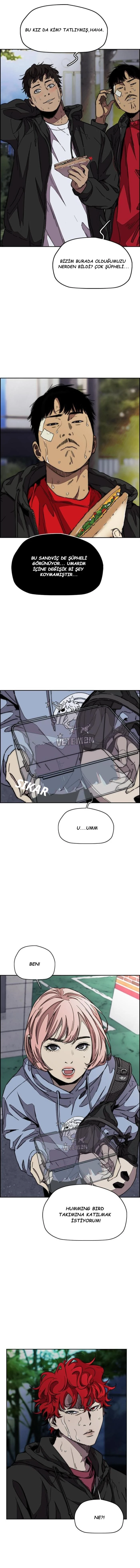 Read Wind Breaker TR Manga Online