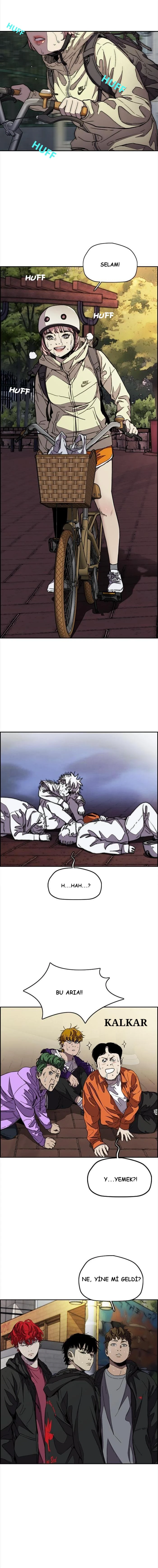 Read Wind Breaker TR Manga Online
