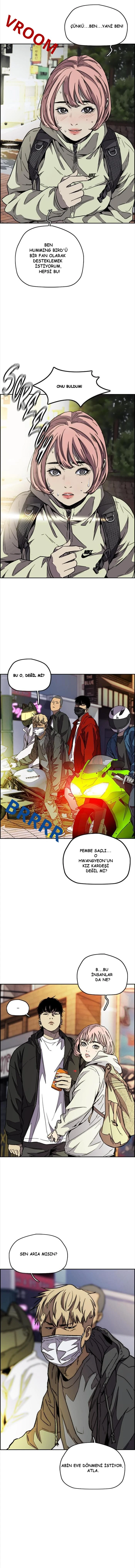 Read Wind Breaker TR Manga Online