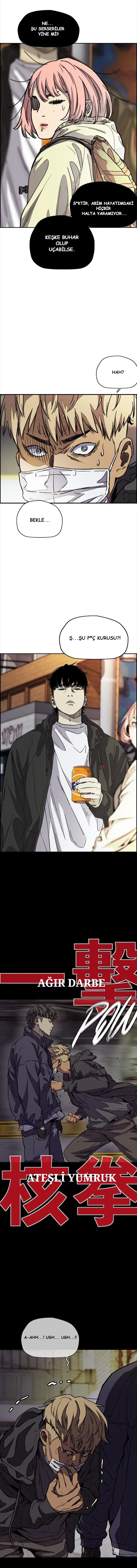 Read Wind Breaker TR Manga Online