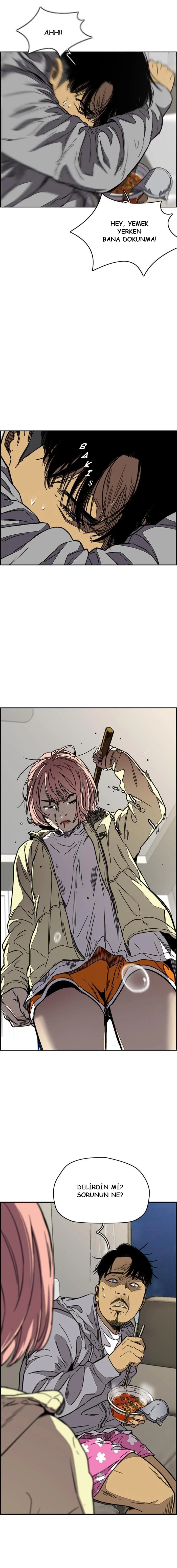 Read Wind Breaker TR Manga Online