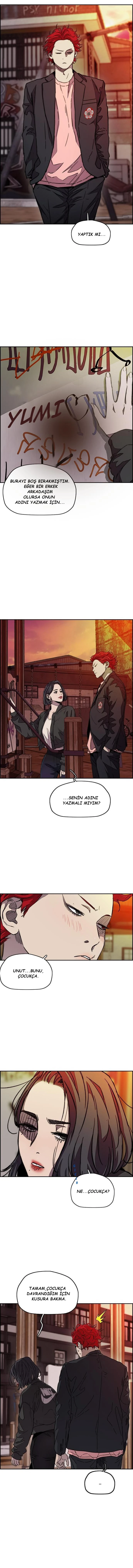 Read Wind Breaker TR Manga Online