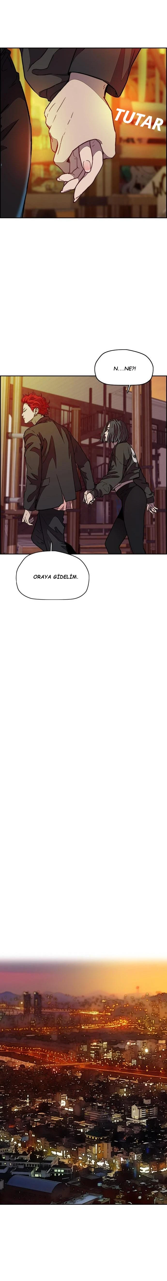 Read Wind Breaker TR Manga Online