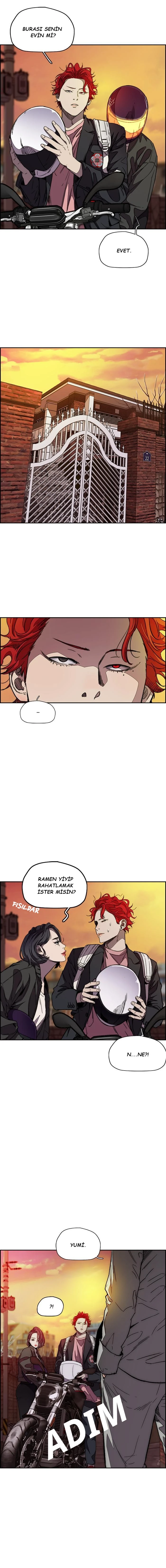 Read Wind Breaker TR Manga Online