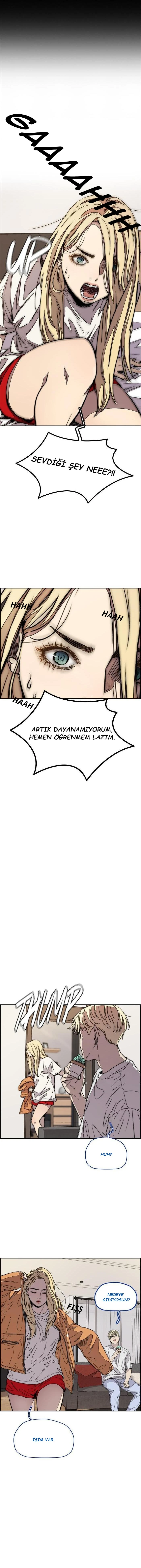 Read Wind Breaker TR Manga Online