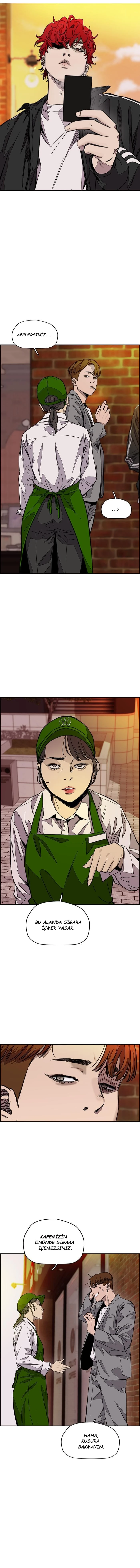 Read Wind Breaker TR Manga Online