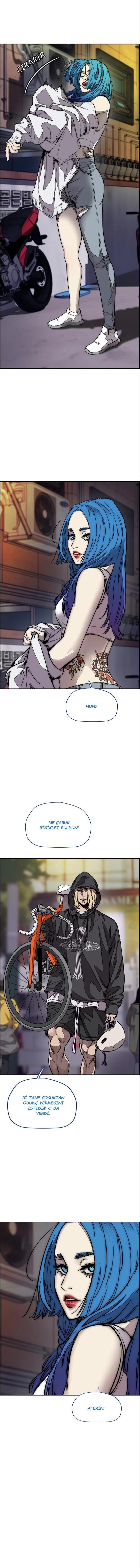 Read Wind Breaker TR Manga Online