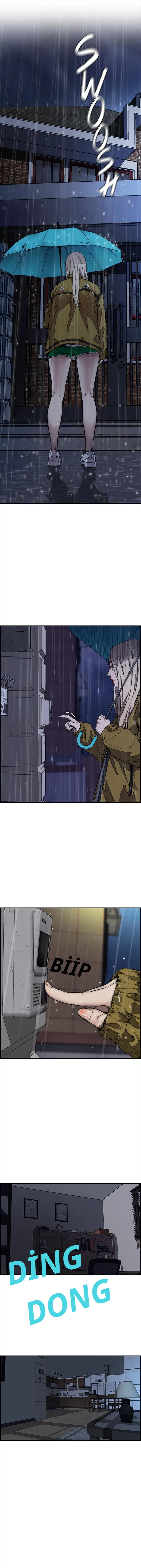 Read Wind Breaker TR Manga Online