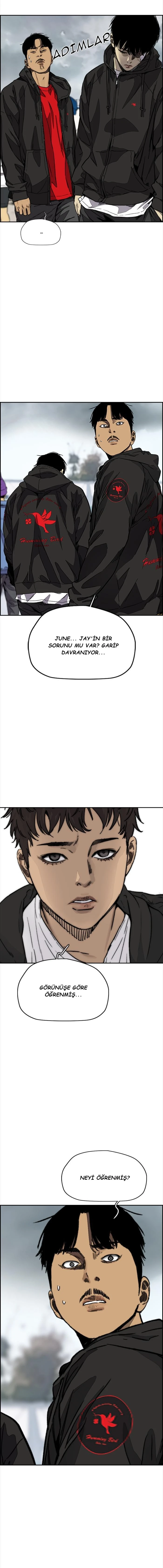 Read Wind Breaker TR Manga Online