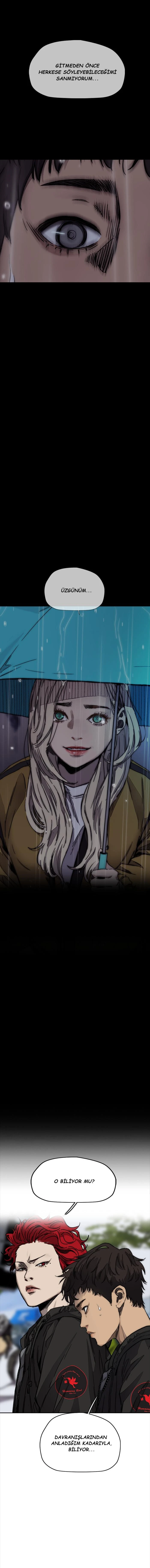 Read Wind Breaker TR Manga Online