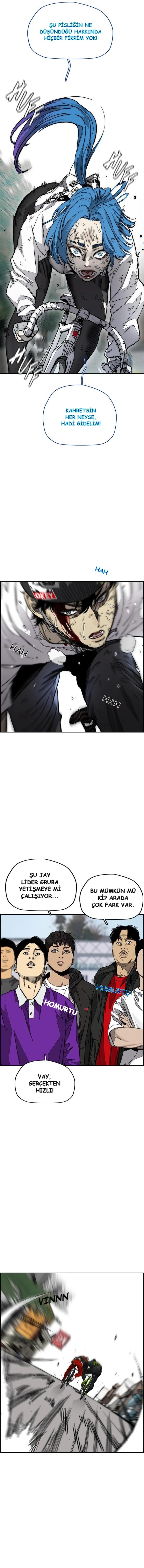 Read Wind Breaker TR Manga Online