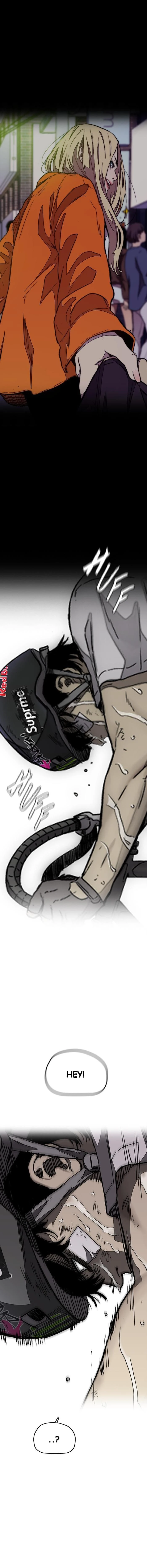 Read Wind Breaker TR Manga Online