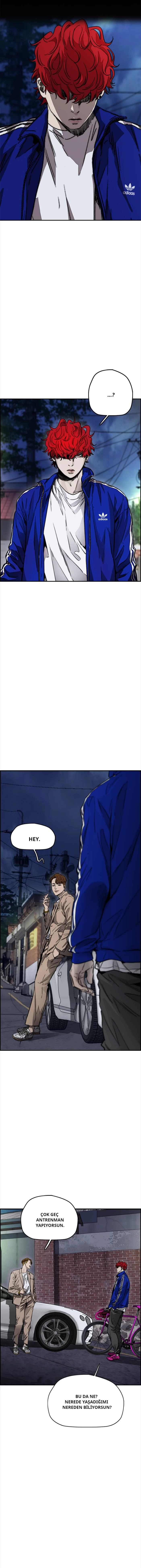 Read Wind Breaker TR Manga Online