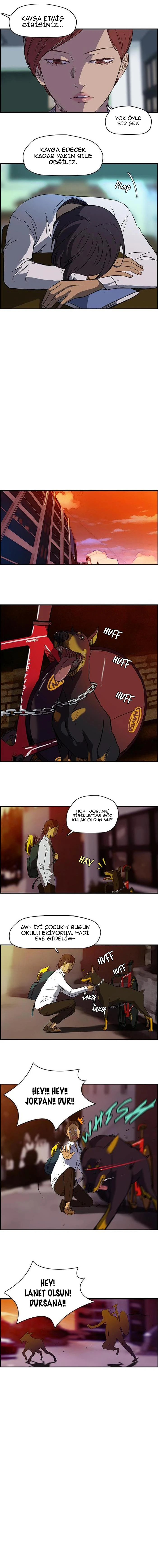 Read Wind Breaker TR Manga Online