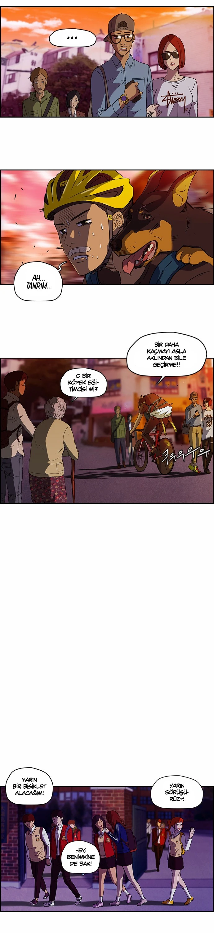 Read Wind Breaker TR Manga Online