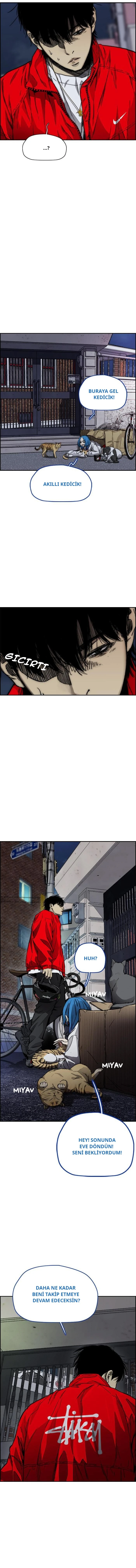Read Wind Breaker TR Manga Online