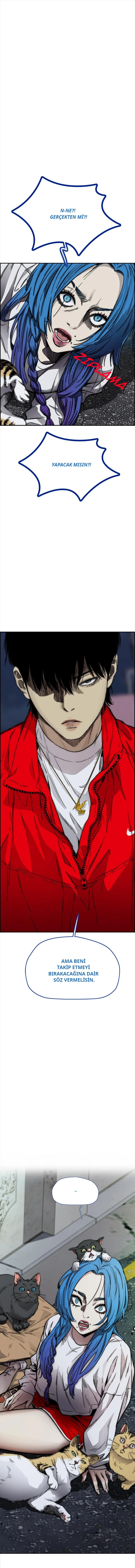 Read Wind Breaker TR Manga Online