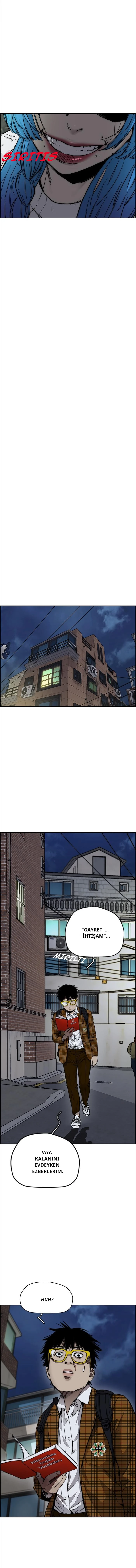Read Wind Breaker TR Manga Online