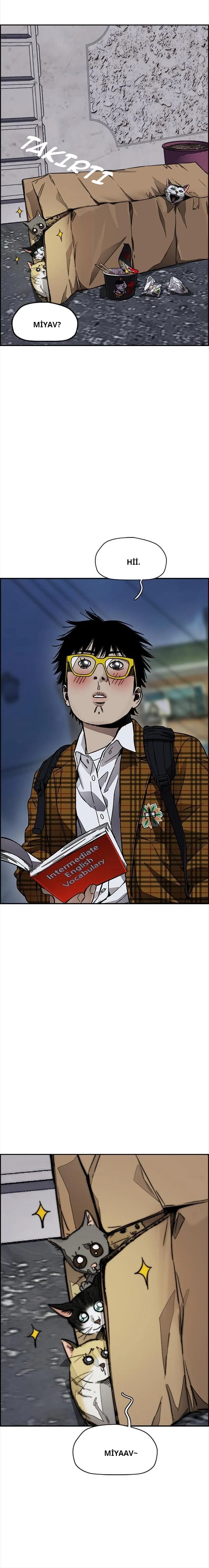 Read Wind Breaker TR Manga Online