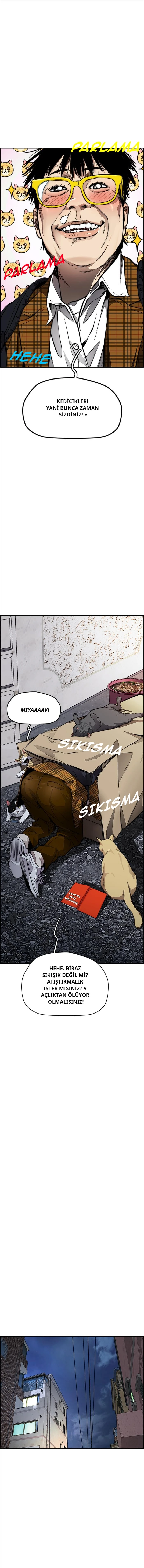 Read Wind Breaker TR Manga Online