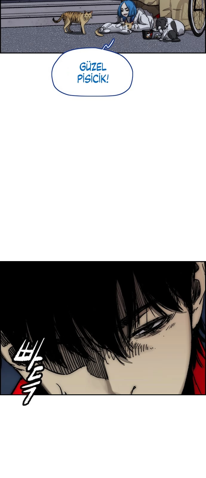 Read Wind Breaker TR Manga Online