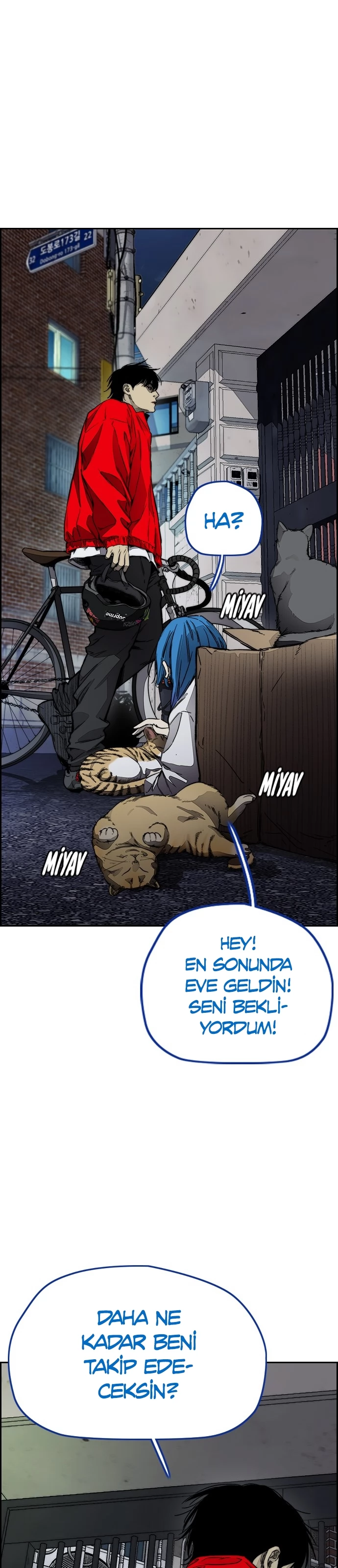 Read Wind Breaker TR Manga Online